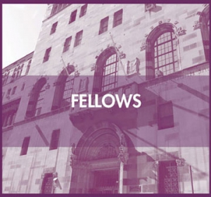 Annual-ReportBoxes-FellowsPlum-Final